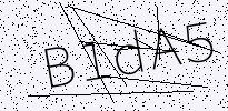 captcha verification